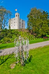 The path to the keep