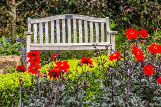 Helmsley Walled Garden