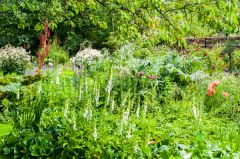 Summer colours make Hemingford Grey come alive