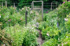 A garden path and gate