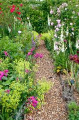 A colourful garden path