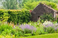 Colourful borders in the garden