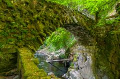 The Hermitage