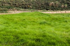 Turf covered chapel remains