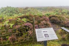 The English Heritage information panel looking towards the mound