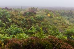 There's a mound in the mist, honest!
