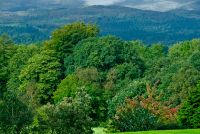 Holehird Gardens, Lake District view