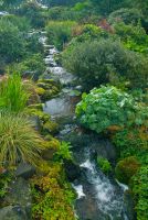 Holehird Gardens, The Cascade
