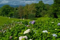 Holehird Gardens, Lower Garden
