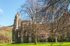 Ruins of Holyrood Abbey beside the Palace