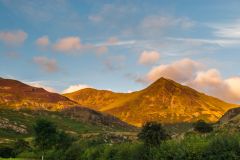 Late evening on the western slopes of the Pass