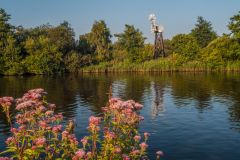 Bure Marshes National Nature Reserve