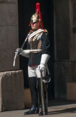 A sentry inside Horse Guards