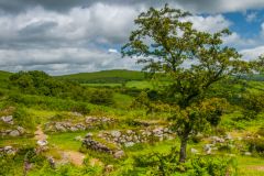 Hound Tor deserted village