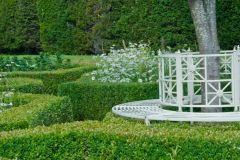 Clipped hedges and a garden bench