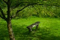 Ightham Mote, Woodland walk