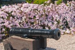 A cannon welcomes visitors!
