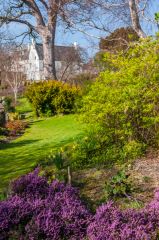 Looking towards the Lodge