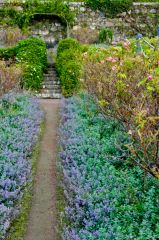 In the walled garden