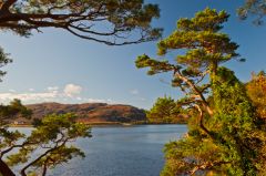 Looking over Loch Ewe