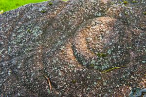 Inverurie Symbol Stones