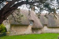 Thatched cottage near the church