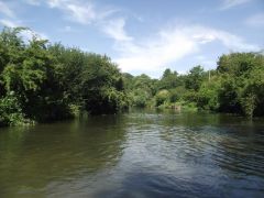 The River Great Ouse at Kempston (c) Tim Glover