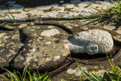 13th century effigy of a priest