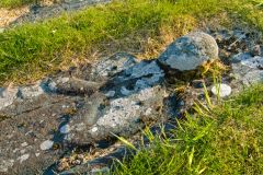 Effigy of a medieval priest