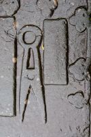 Shears carving