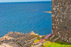 Where the piper met his end?