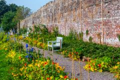 The restored walled garden