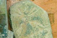 Kirkmadrine Early Christian Stones, Cross fragment