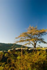 Late evening light on the Kirkstone Pass