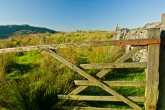 Farn gate and field atop the Pass