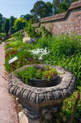 Kitchen Garden borders