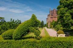 A fanciful topiary hedge