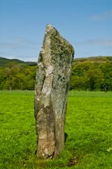 Part of the stone row