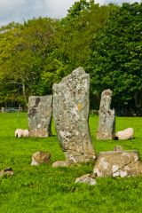 Looking through the centre of the X formation