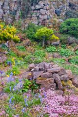 Lamport Hall, The Rockery
