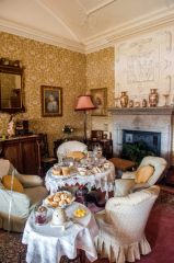 Her Ladyship's drawing room