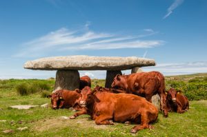 Lanyon Quoit