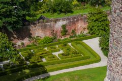 Tudor garden from the tower