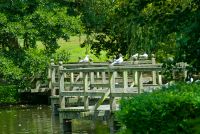 Leeds Castle, Garden bridge