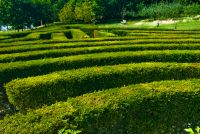 Leeds Castle, Hedge maze