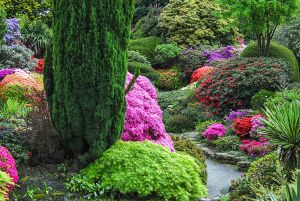 Leonardslee Gardens