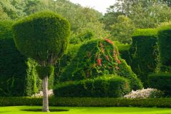 Fanciful topiary in the gardens