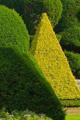 A topiary pyramid