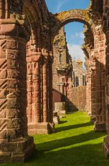 In the ruins of the priory church