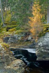 Mar Lodge Estate, Linn o' Dee